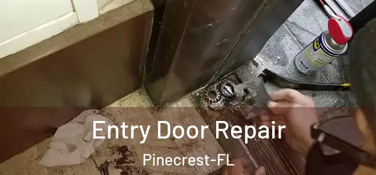 Entry Door Repair Pinecrest-FL