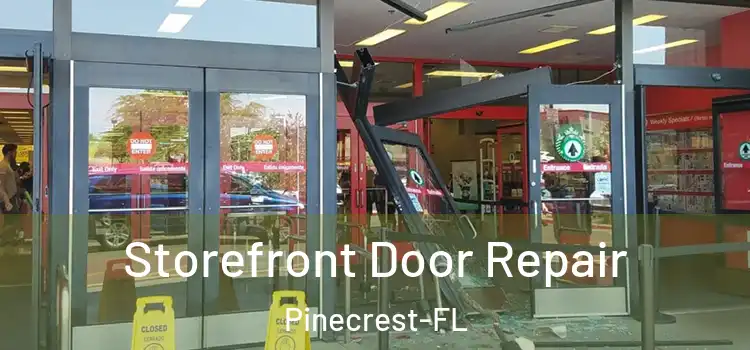  Storefront Door Repair Pinecrest-FL